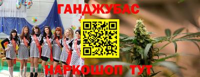 mdpv Рыбинск