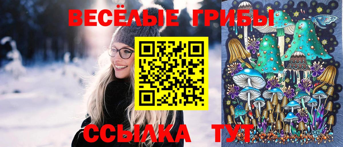 сколько стоит  Вход с VPN  Саранск  Псилоцибиновые грибы мицелий 